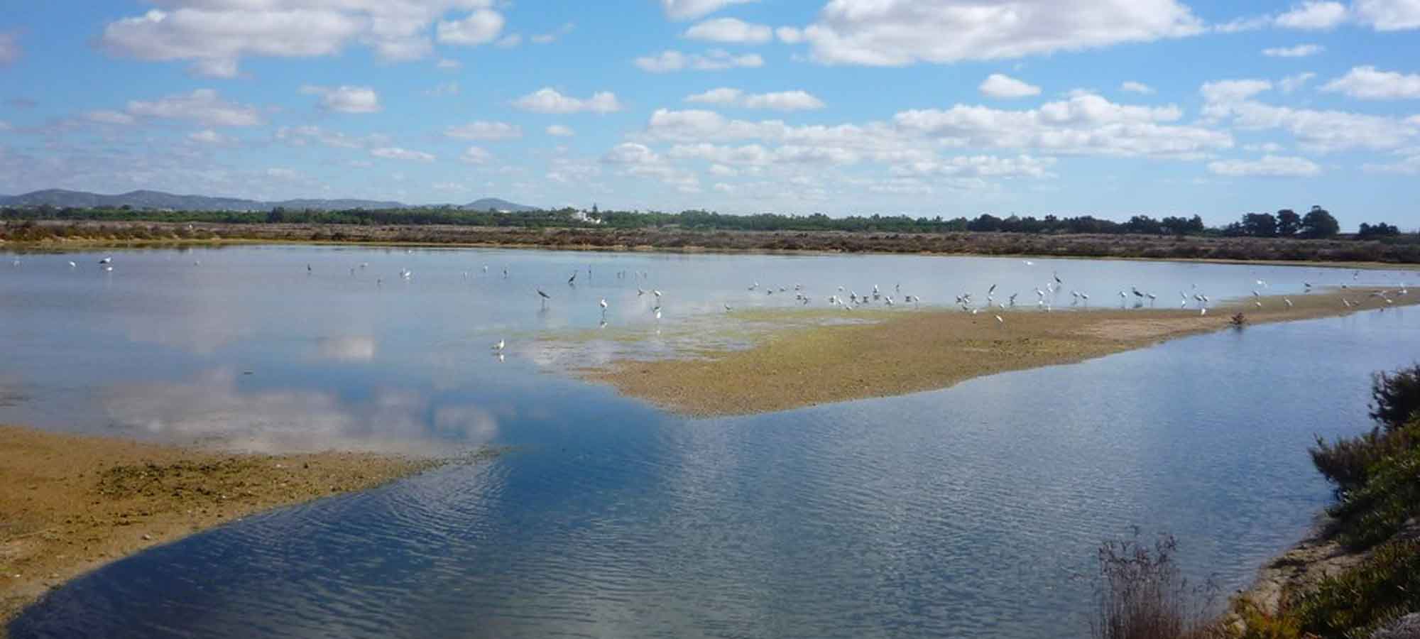 Ria Formosa, a pérola do sul.